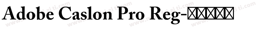 Adobe Caslon Pro Reg字体转换